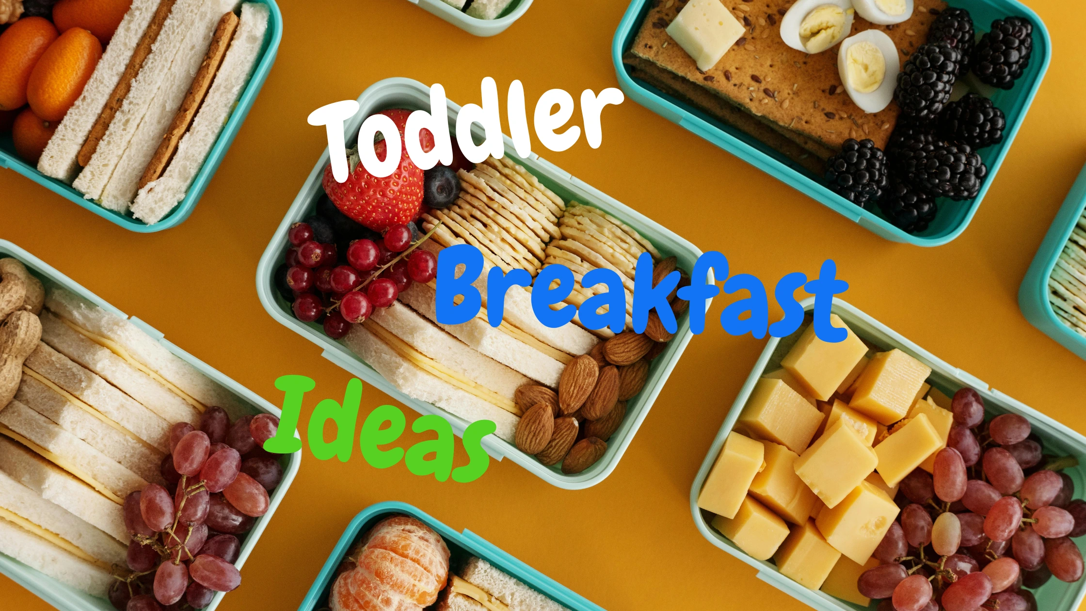 Toddler Breakfast Ideas